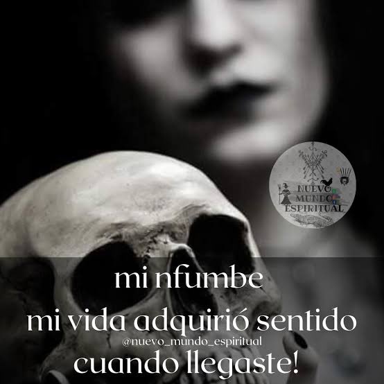Fausto Fernandez tweet media