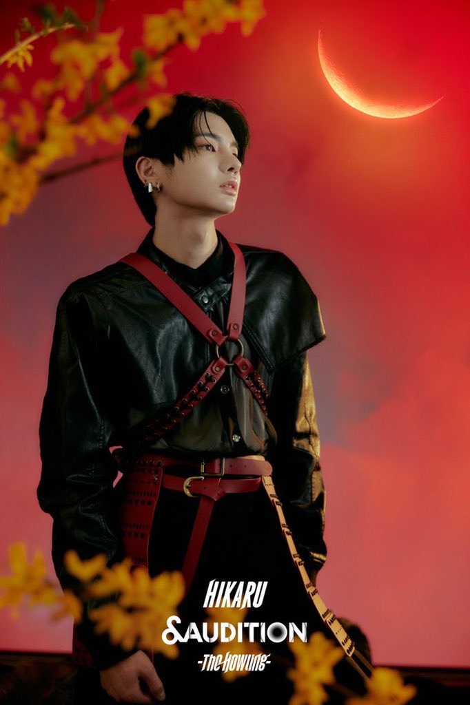 PARTENARIAT | 

Nous avons le plaisir d’accueillir <a href="/france_hikaru/">Hikaru France 🇫🇷</a> parmi nos partenaires ! 

Hikaru est également un participant de l’émission alors n’hésitez pas à les suivre ~