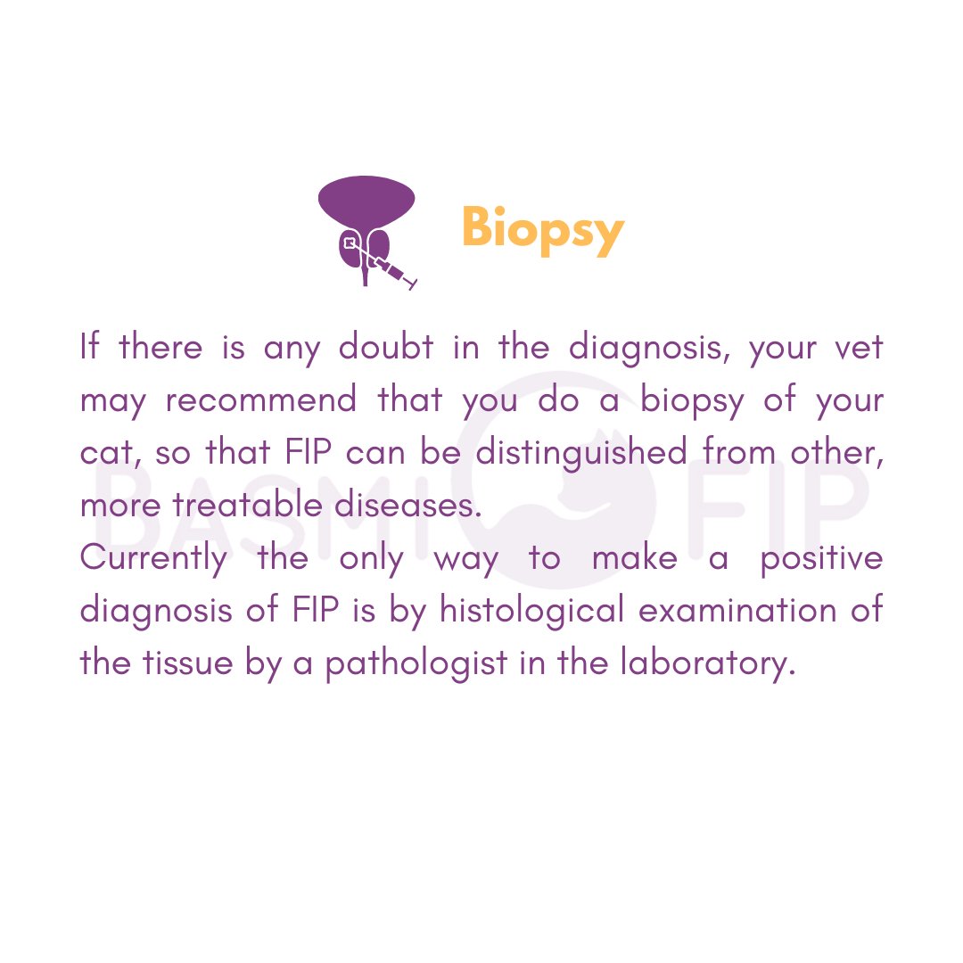 basmifip's tweet photo. https://t.co/aMYhSf4VCj