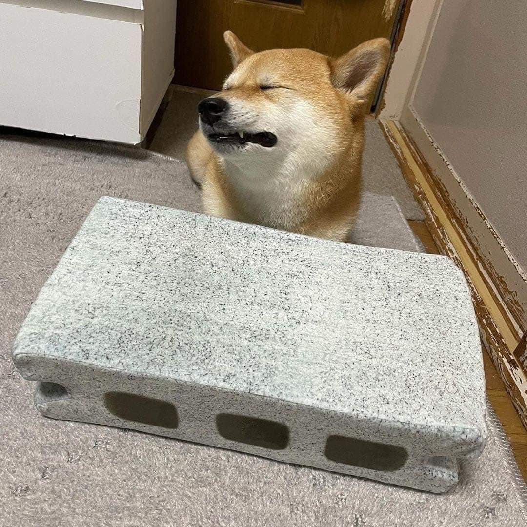 ɢ ᴏ ᴛ tweet media