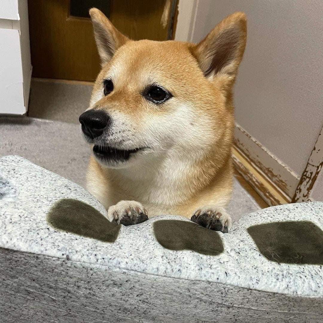 ɢ ᴏ ᴛ tweet media