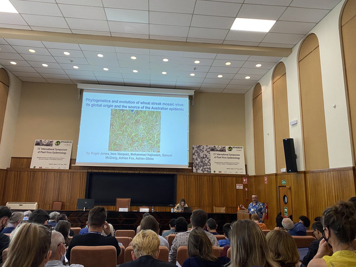 AimeeFowkes's tweet photo. @Blisteredcanker talking about the phylogenetics and evolution of wheat stream mosaic virus, standing in for Dr Roger Jones who couldn’t be here #ISPVE #ISPVE2022 https://t.co/Ay15WHlOJq