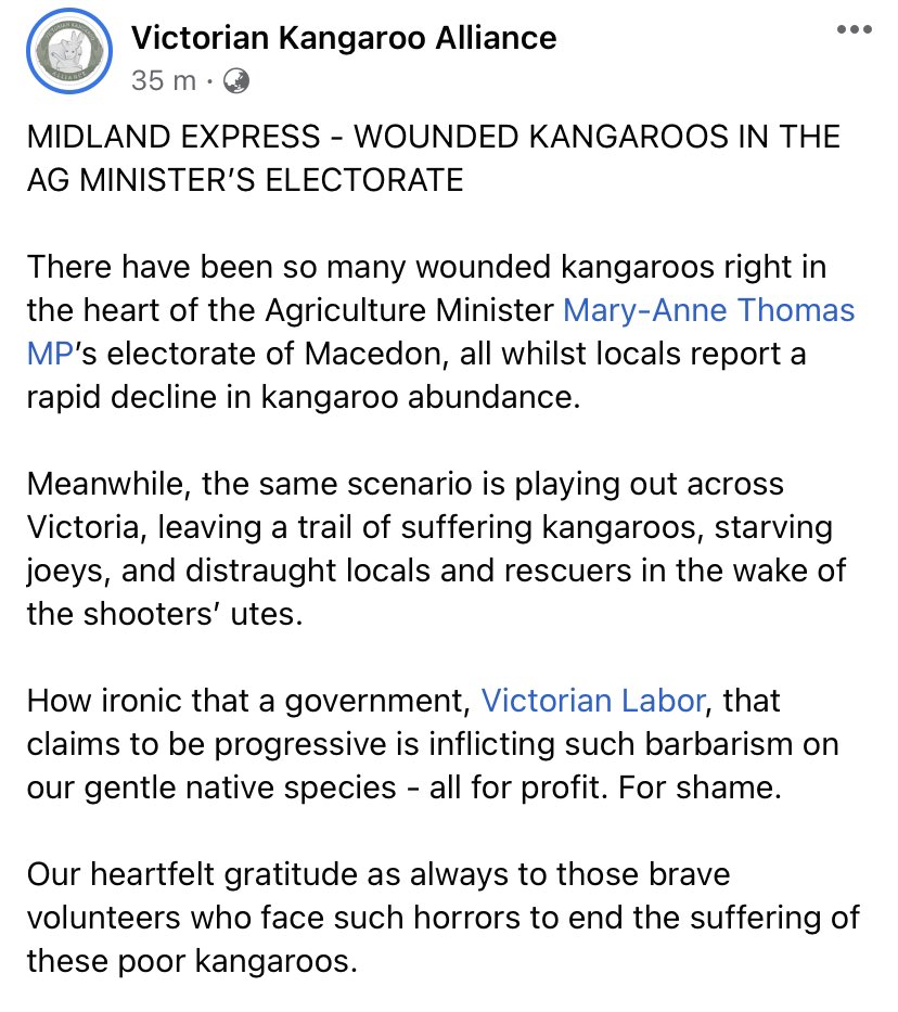 VicKangaroos's tweet photo. SHE WAS A MOTHER 😢

@MaryAnneThomas @DanielAndrewsMP @LilyDAmbrosioMP 
@VictorianLabor 

https://t.co/CtiwOSNVjS

#stopkillingkangaroos #EndWildlifeTrade #Nikekangaroomassacre #macedonranges #wildliferescue #aussiewildlife #kangaroo #parookangaroo #kroo #doyouroo #ecocide https://t.co/vzoLKndbiL