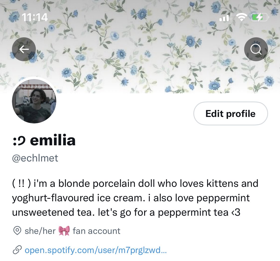 echlmet's tweet photo. say hiii for new layout!!! 🤍 https://t.co/JmfvyoluR9