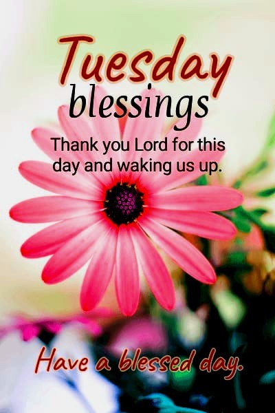 TheSpotlight365's tweet photo. Have a LUVLY TUESDAY and a LUVLY day from CELEBRITY SPOTLIGHT! #Tuesday #Success #Wellness #Propserity #Peace #God #Celebrityspotlight #imagepromoters #brandpromoters #TheSpotlight https://t.co/jDKPcCb25H