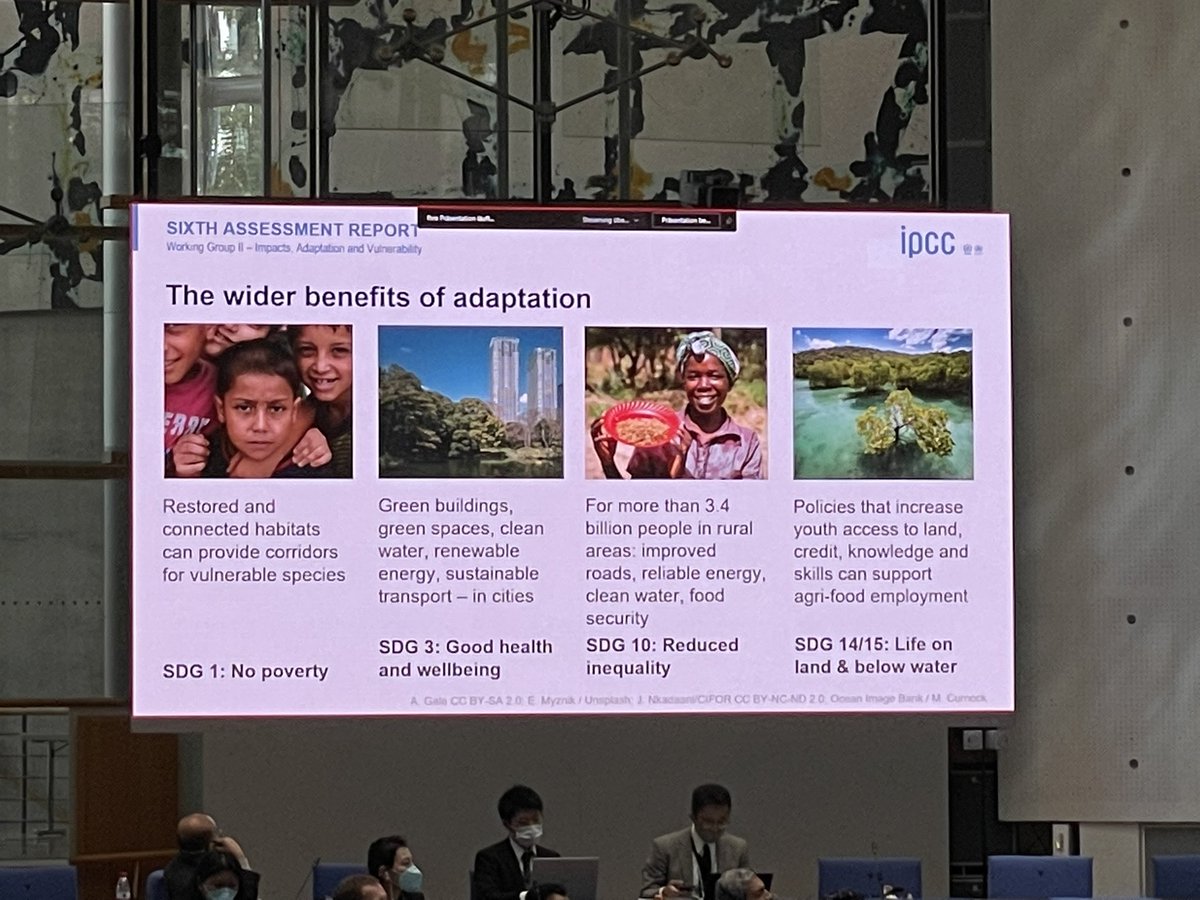 Mwanahamisi Singano tweet media