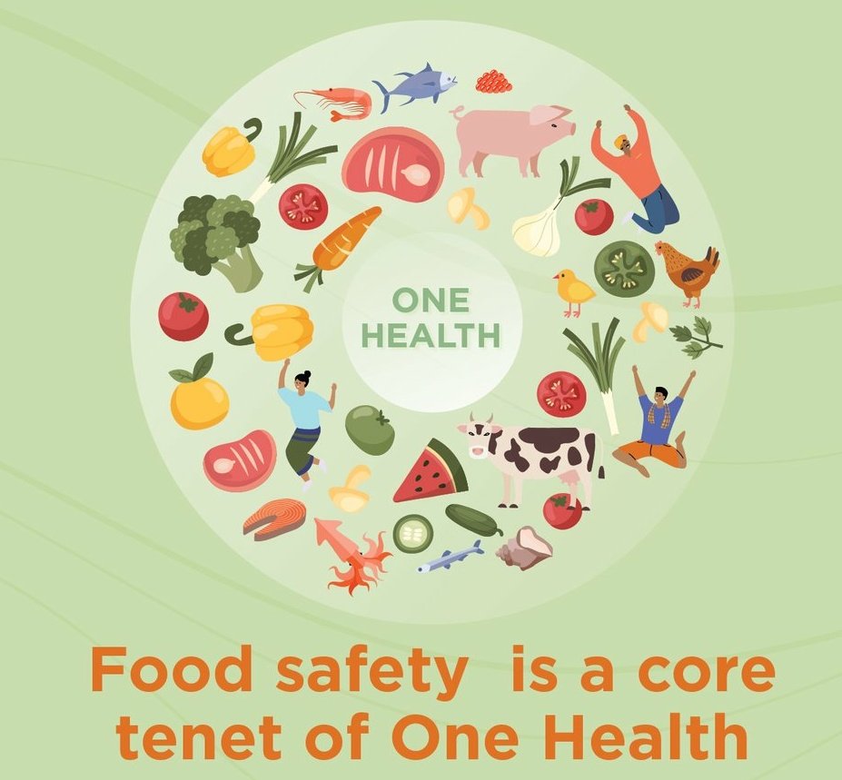 On #WorldFoodSafetyDay, let us renew our commitment to ensure d food items we consume are safe,healthy& nutritious.
Govt should take strict policies against food adulteration.
Bcz Food safety has a significant impact on human health.
#SaferFoodBetterHealth

@BhupenKBorah