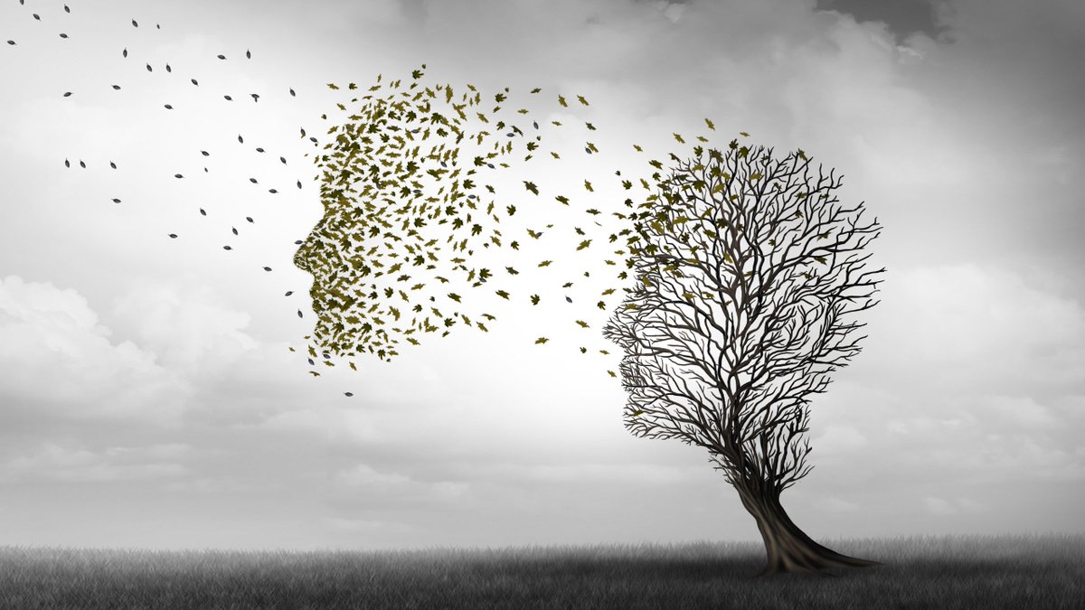 NeurosciTek's tweet photo. Our brains gradually lose the ability to link related memories;
#HIV drugs could combat #middle_aged #memory loss.

https://t.co/DEPPxJj4CZ

#Yang_Shen, @miou_zhou, @denisejcai, @almeidafilho,..., &amp; @UCLAHealth https://t.co/HnslXJyeAL