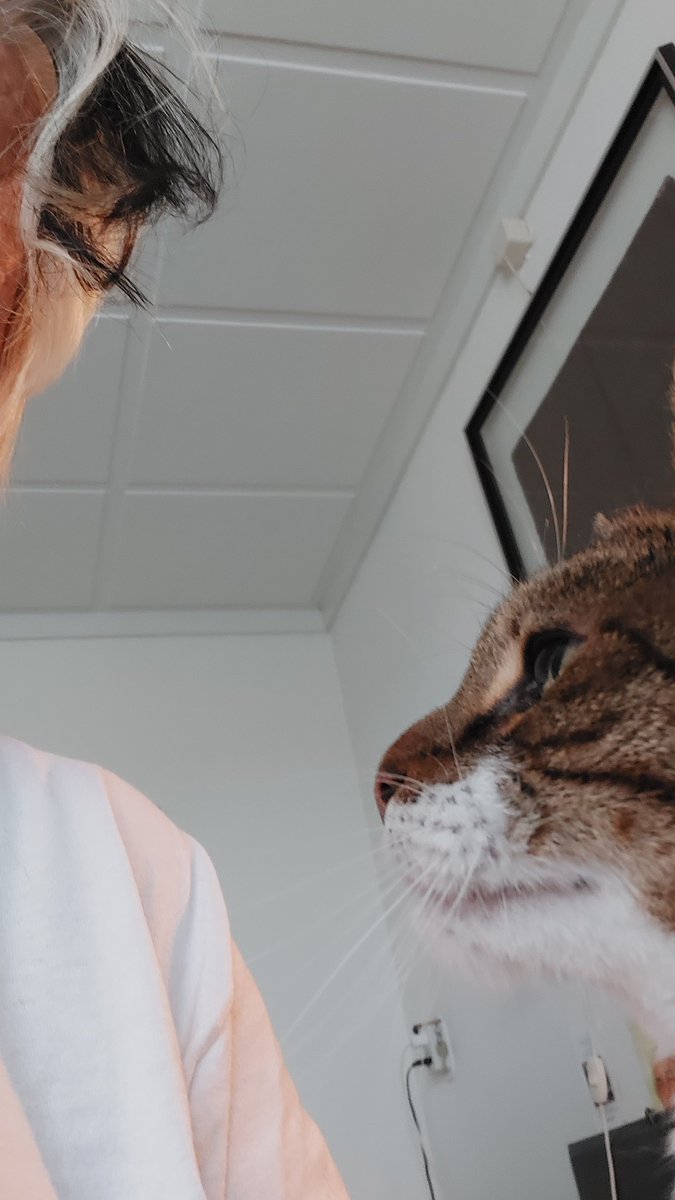 #Haiku Op de rand van het bed, vanochtend...
-
Langzaam verpoezen?
Wie zorgt voor wie, wie zit waar?
Houden van elkaar...
-
Voor #Bertus 12 jaar