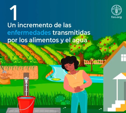 Tecnicrop's tweet photo. ¿Sabías que el #cambioclimático puede afectar a la #inocuidadalimentaria?
Fuente: FAO.
#DíaMundialdelaInocuidadAlimentaria #alimentos #inocuos #agricultura #sostenible #saludable #medioambiente #planeta https://t.co/1Dj7C66XYU