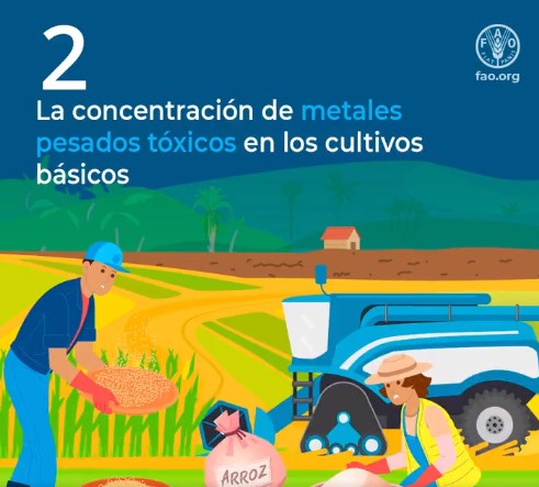 Tecnicrop's tweet photo. ¿Sabías que el #cambioclimático puede afectar a la #inocuidadalimentaria?
Fuente: FAO.
#DíaMundialdelaInocuidadAlimentaria #alimentos #inocuos #agricultura #sostenible #saludable #medioambiente #planeta https://t.co/1Dj7C66XYU