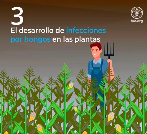 Tecnicrop's tweet photo. ¿Sabías que el #cambioclimático puede afectar a la #inocuidadalimentaria?
Fuente: FAO.
#DíaMundialdelaInocuidadAlimentaria #alimentos #inocuos #agricultura #sostenible #saludable #medioambiente #planeta https://t.co/1Dj7C66XYU