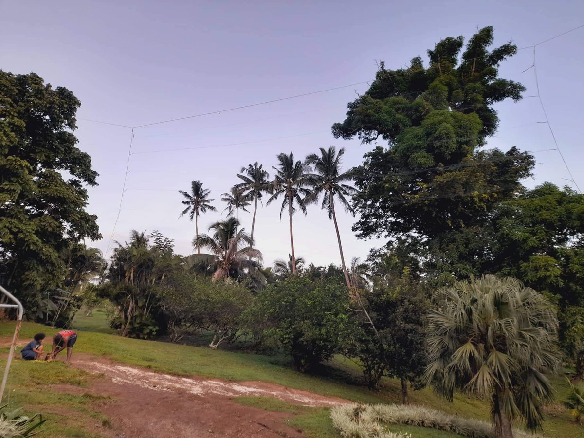 cterryie's tweet photo. Bat team setting up canopy trap at Taveuni. #PhDStudy #FijiBatResearch #ComeOnBats! 🦇😊❤️ https://t.co/8PiF0ONGcG