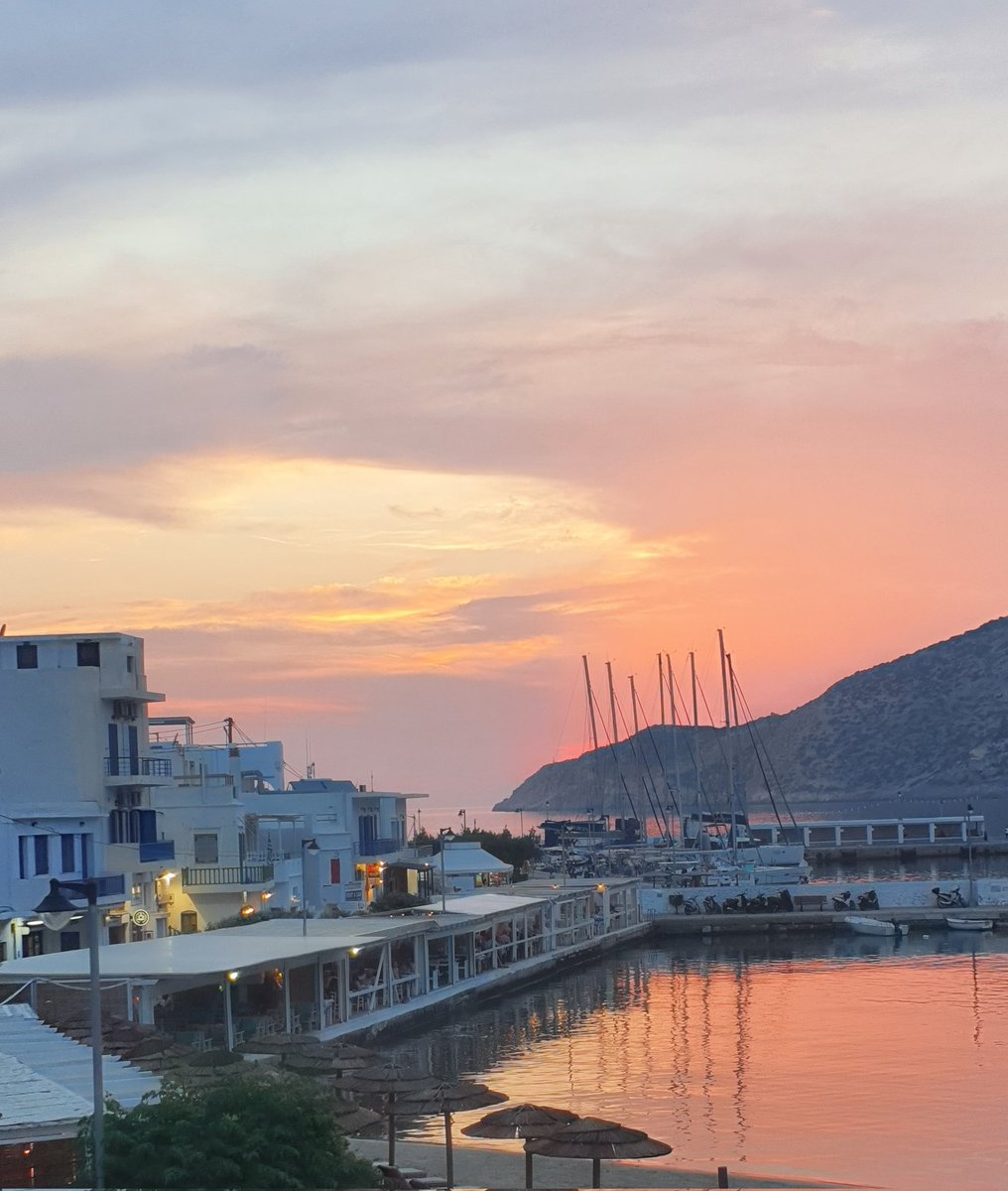 Checca Aird tweet media