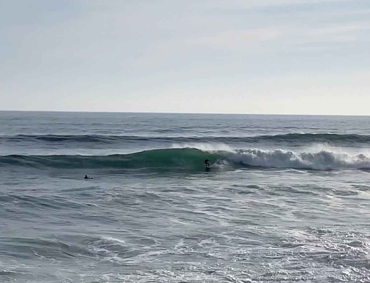 Reminiscing about the good waves and  pumping market early this year🚀