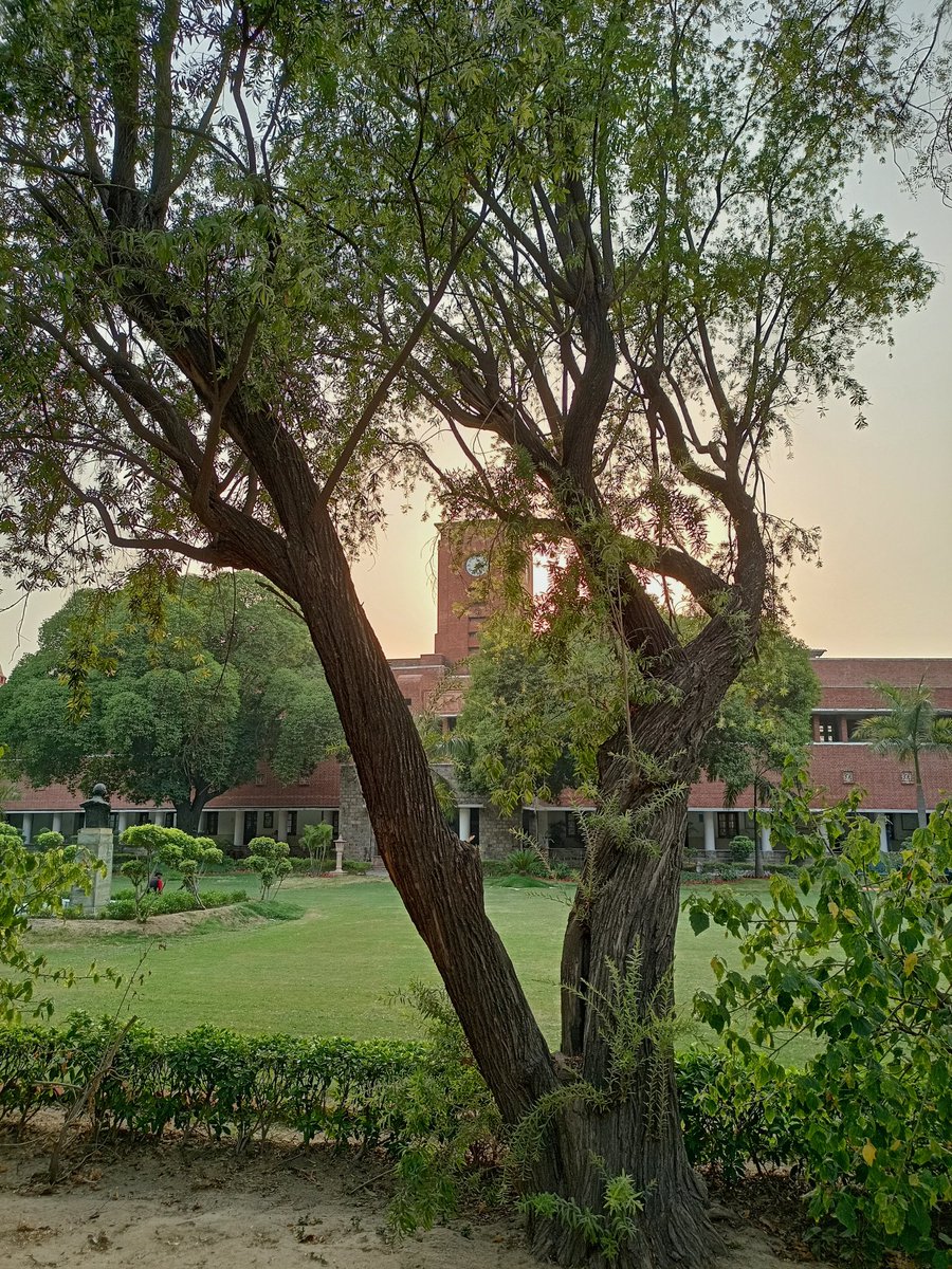 him_chhabra's tweet photo. SRCC in pictures:

Sunsets https://t.co/0ZOCCRnHka
