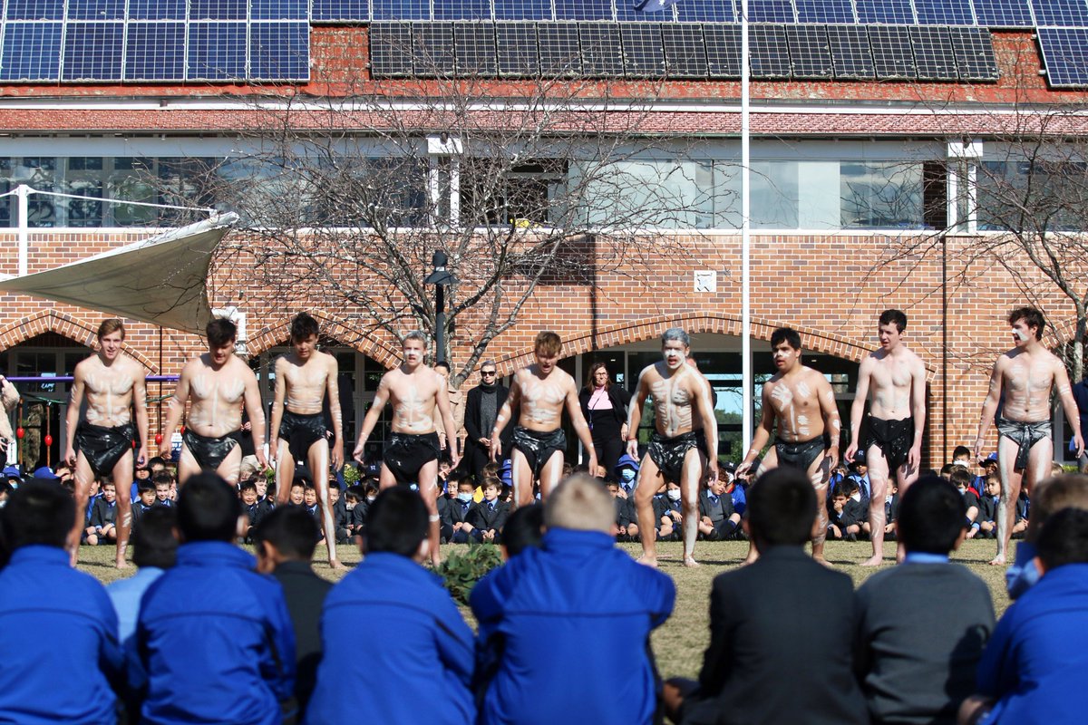 Knox Grammar School tweet media