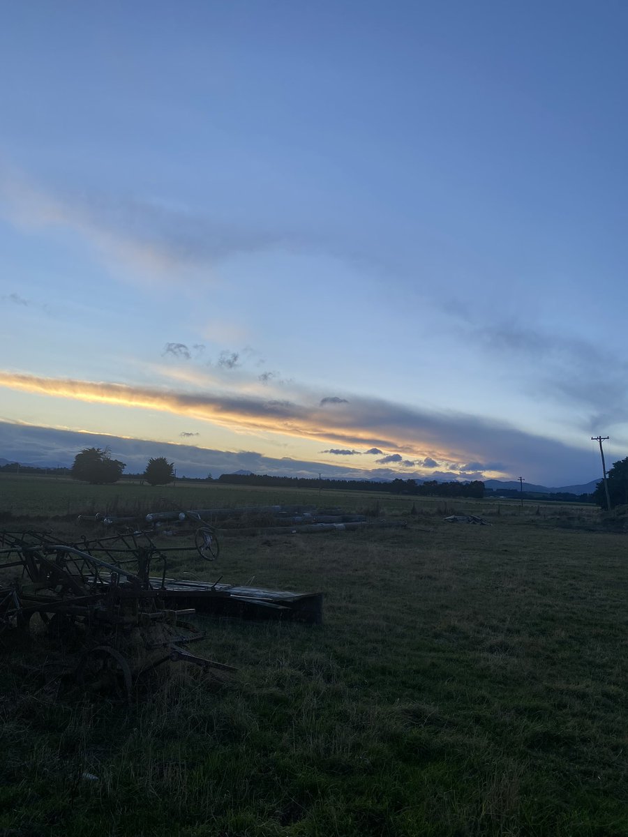 Alexandria Winning tweet media