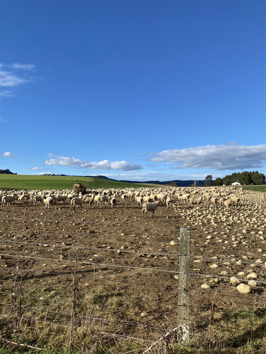 Alexandria Winning tweet media