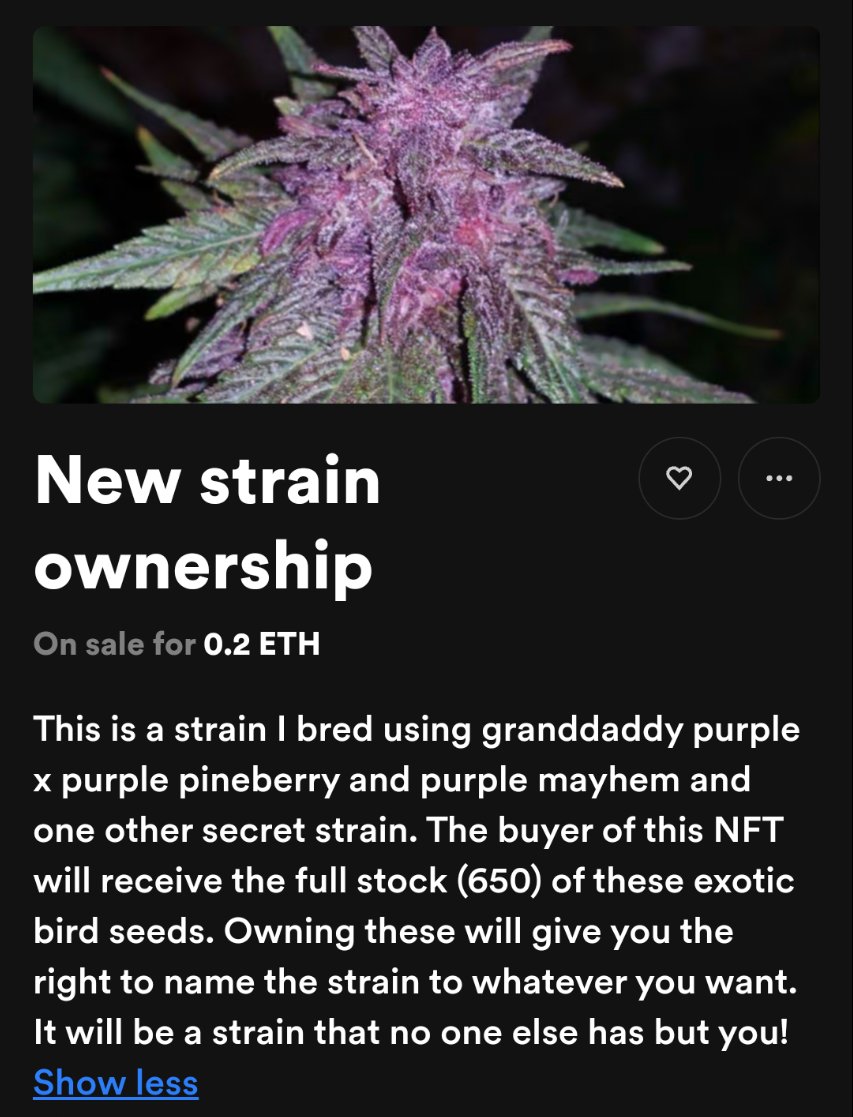 Stylez42's tweet photo. @SnoopDogg @SnoopDogg support a breeder pimmpinn.. Been creating new strains since 2011.. 👊✌️ https://t.co/PvrT4uCAiA
