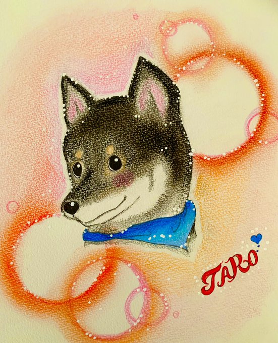 ペットのイラストオーダーのtwitterイラスト検索結果