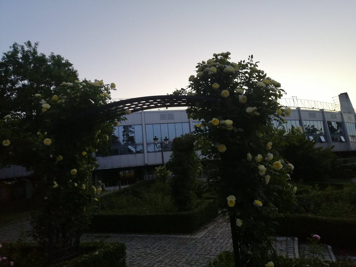 JanaJozeta's tweet photo. #Sofia #roses #garden #CityStory https://t.co/IXb5ESMDAu