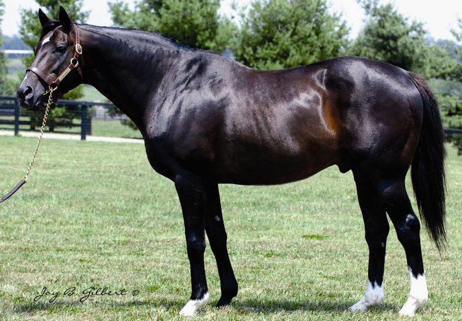 ufuk353's tweet image. GONE WEST