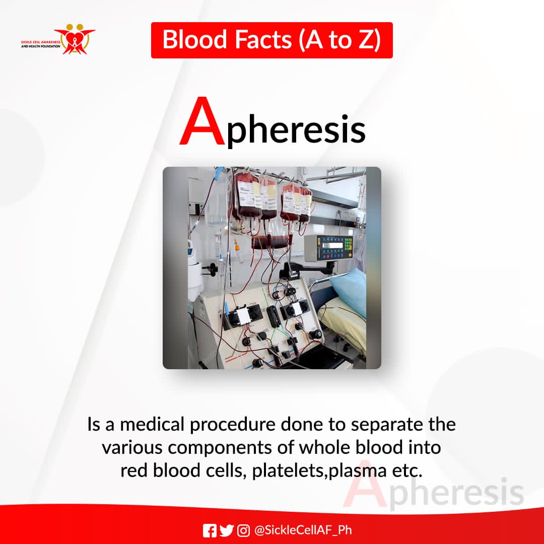 SickleCellAF_Ph's tweet photo. As we countdown to 𝐖𝐨𝐫𝐥𝐝 𝐁𝐥𝐨𝐨𝐝 𝐃𝐨𝐧𝐨𝐫 𝐃𝐚𝐲 2022, we will be sharing our 𝐀 - 𝐙 𝐨𝐟 𝐁𝐥𝐨𝐨𝐝 𝐃𝐨𝐧𝐚𝐭𝐢𝐨𝐧
A- Apheresis 
B- Blood Group 
C- Compatibility 
D- Donor

#14thJune
#SCAHFBloodDrive2022
#SafeBloodSavesLives 
#BloodMatters
#EveryPintCounts 
#SCAHF https://t.co/uEtxVxD3ze