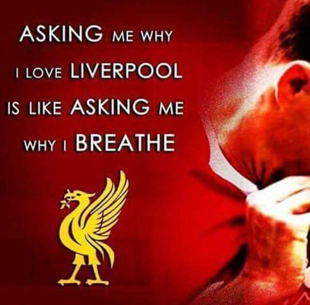 William27244404's tweet image. Good Morning Reds. #YNWA