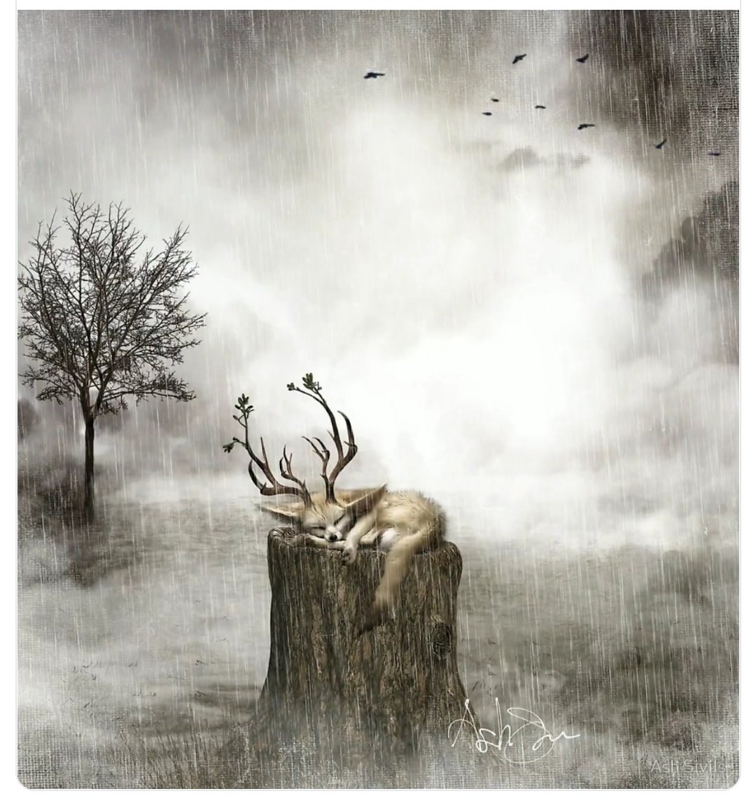 SHAHPAR ⧫ tweet media