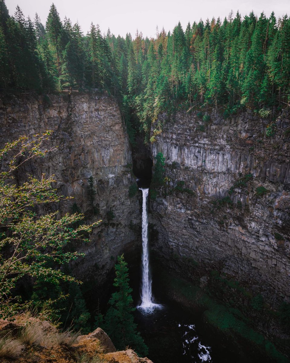 Colin Ye tweet media