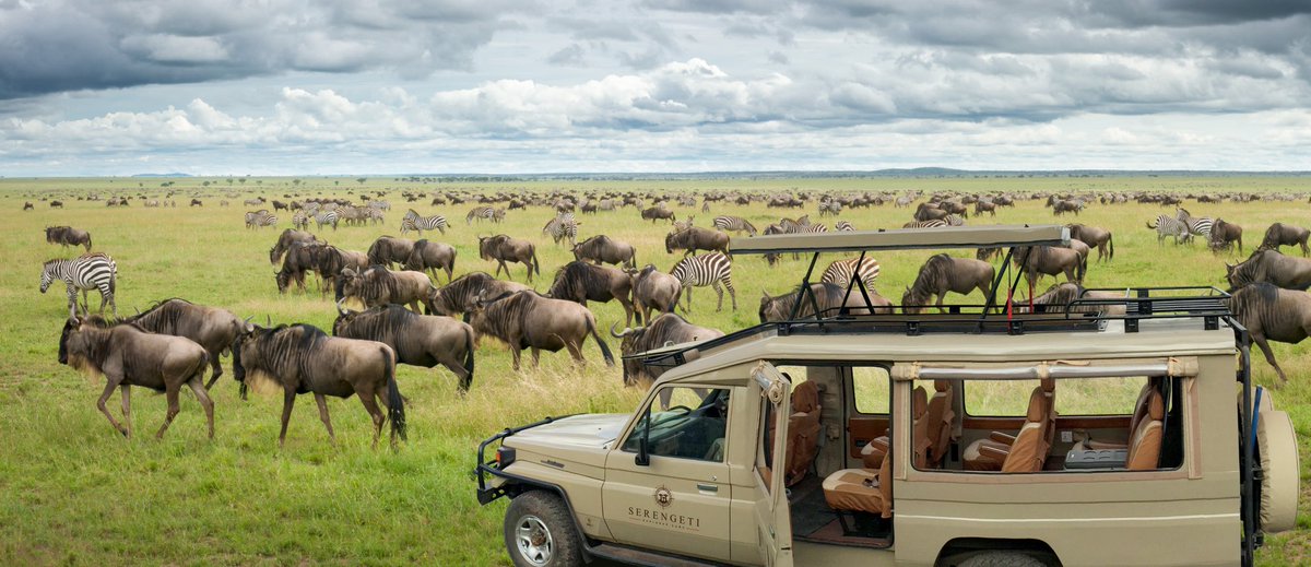 manleysocial_'s tweet photo. The magnificent Serengeti Sojourn Mobile Camp has announced Togoro 1 (there are 3 camps in the area) its second home base. Read the full article here: https://t.co/mPbtBlolMf #NewmarkHotelsandReserves #NewmarkExperiences #SerengetiSojournMobileCamp #TogoroRegion #ManleySocial https://t.co/N52pta2gm3