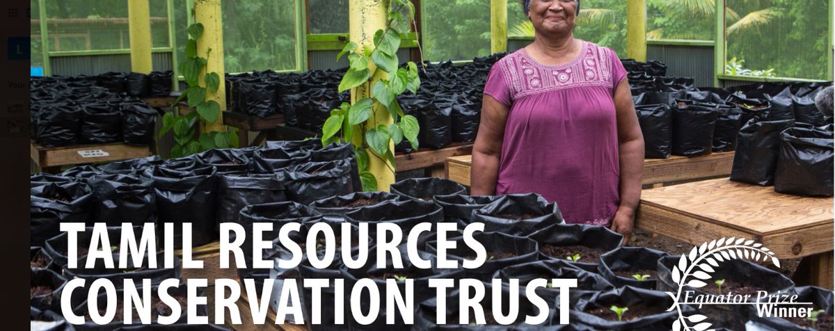 Our #WorldOceansDay case study series is celebrating the Tamil Resources Conservation Trust from Micronesia! 🐟🎉

They are sustainably managing 1,683ha of coral reefs and coasts through a "Ridge-to-Reef" approach.

Read their #EquatorPrize case study ⬇️
bit.ly/TamilRCT