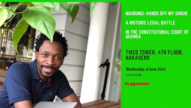 “Herb is the healing of a nation, alcohol is the destruction.”~Bob Marley #NeverFearTruth 

Wednesday. 8 June. #SaveTheShrub