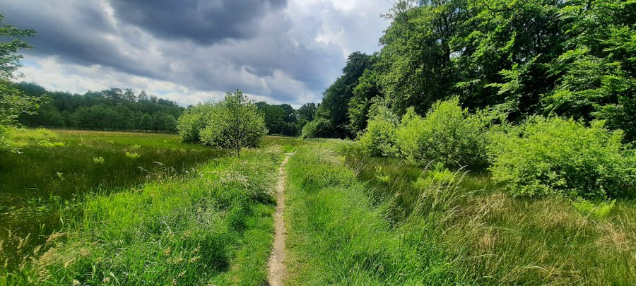 JaapdeVries20's tweet photo. De komende dagen is het nog vrij wisselvallig met op woensdag veel neerslag. Vanaf vrijdag wordt het flink warmer in Nederland en is het veelal droog en er zijn zonnige perioden. De temperatuur loopt op tot 25 graden in #zuidlimburg  #zomer #veluwe https://t.co/yJv433G5Cu