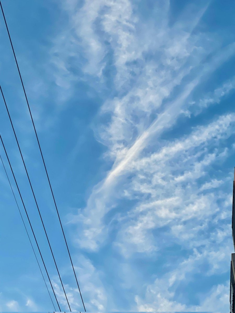 dailyMAY_'s tweet photo. 220607 • May Weverse Update 

The pretty flowers, sky, and Greek yogurt that I took while walking on the street! 
This one is kind of cute, right?

I miss you so much 
Lullet Fighting🌱

@cherrybullet #May #메이 #CherryBullet #체리블렛 (1/2) https://t.co/5whQ1L1m6q