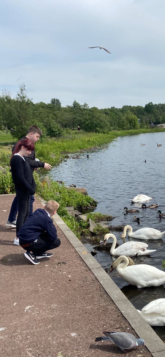BGE pupils out and about with <a href="/MrMooney5/">MrMooney</a> feeding grain to the swans and enhancing our own Health and Wellbeing at the same time. <a href="/nlcpeople/">NorthLanCouncil</a> <a href="/SevenLochs/">7Lochs</a> #Drumpellier #rethinksebn #MentalHealthMatters <a href="/jasschools/">JASS</a>
