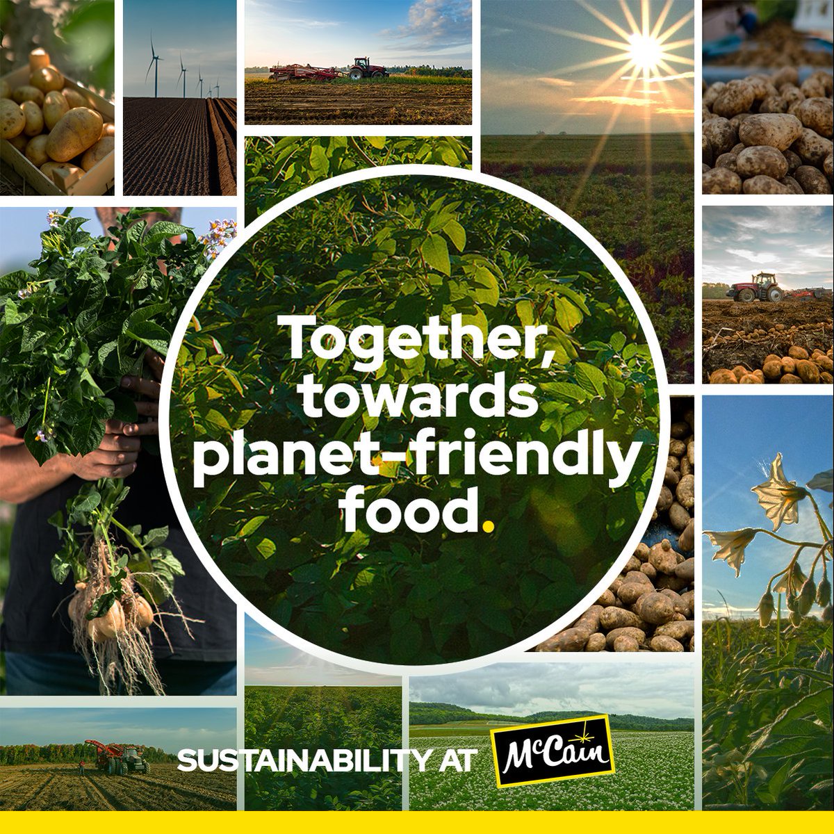 As we continue on our #sustainability journey, we are proud to be on track to reach our goals and making strong progress in each of our four sustainability pillars. Learn more: mccain.com/sustainability…