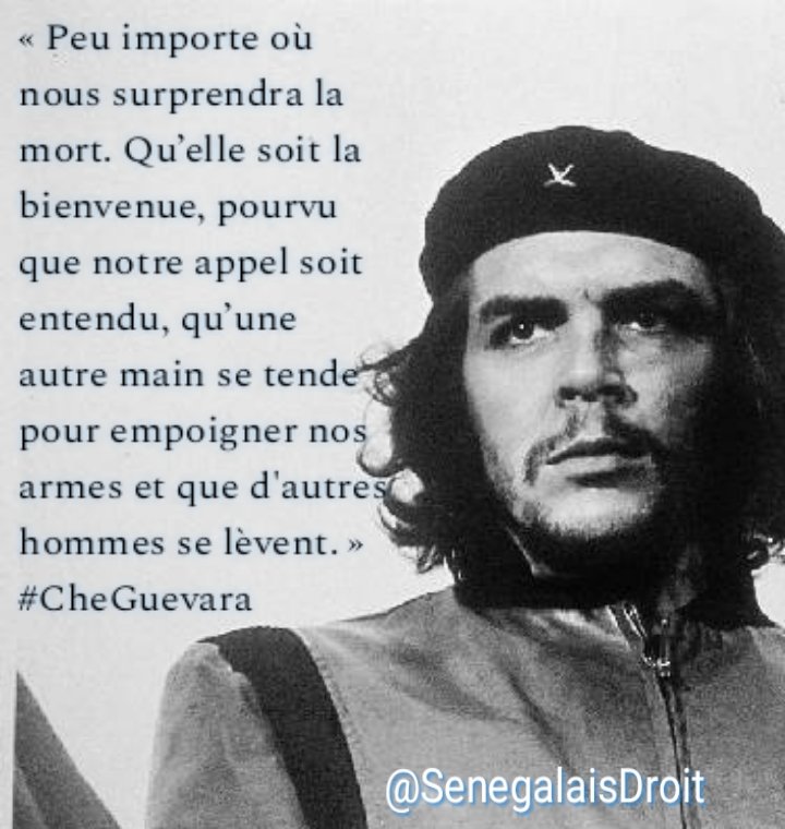 Senegalais Droit Senegalaisdroit Twitter