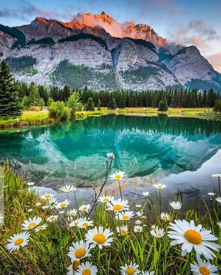 fiz_iiz's tweet photo. #GoodMorningTwitterWorld
#NaturePhotography #photography
#SpringDay #NatureBeauty #LoveTwitter https://t.co/Od3aC2qXSu