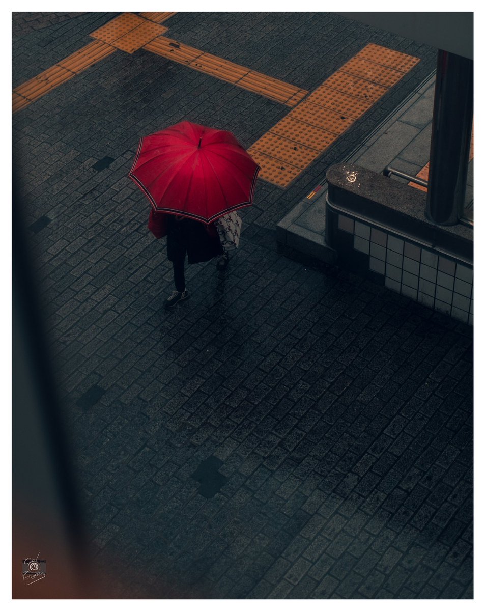 colphotocinema's tweet photo. 今日雨ですね https://t.co/nvYFE6SYQJ