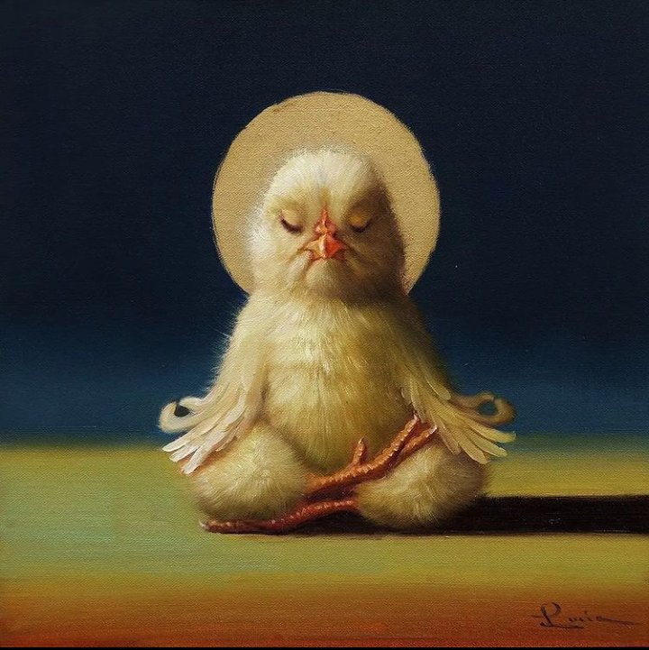 BUDDHA'S CHICK™◽ tweet media