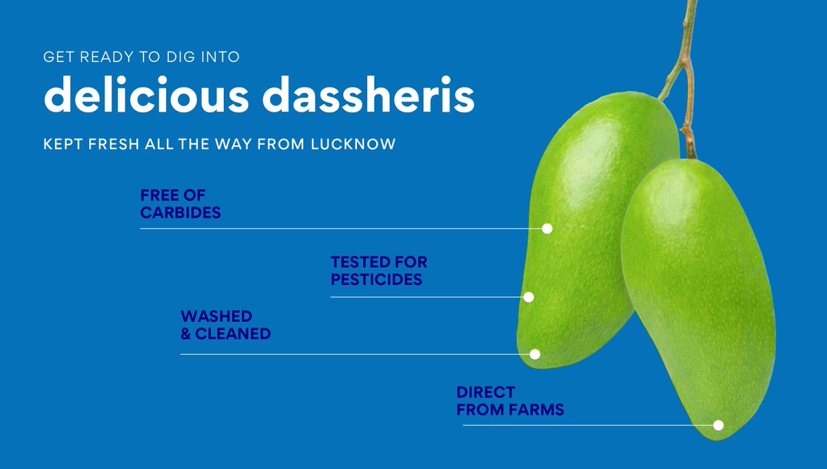 thisissuperplum's tweet photo. JUST IN: North India's famous and favourite mangoes are now available in Delhi! Place your orders for these super sweet &amp; super safe 𝗗𝗮𝘀𝘀𝗵𝗲𝗿𝗶 𝗠𝗮𝗻𝗴𝗼𝗲𝘀. Visit https://t.co/BmkJGnB8M3.

#Dassheri #MangoSeason #SuperSafeSuperFresh #Superplum #NoCarbides #LucknowMangoes https://t.co/4TzAsRBVVA