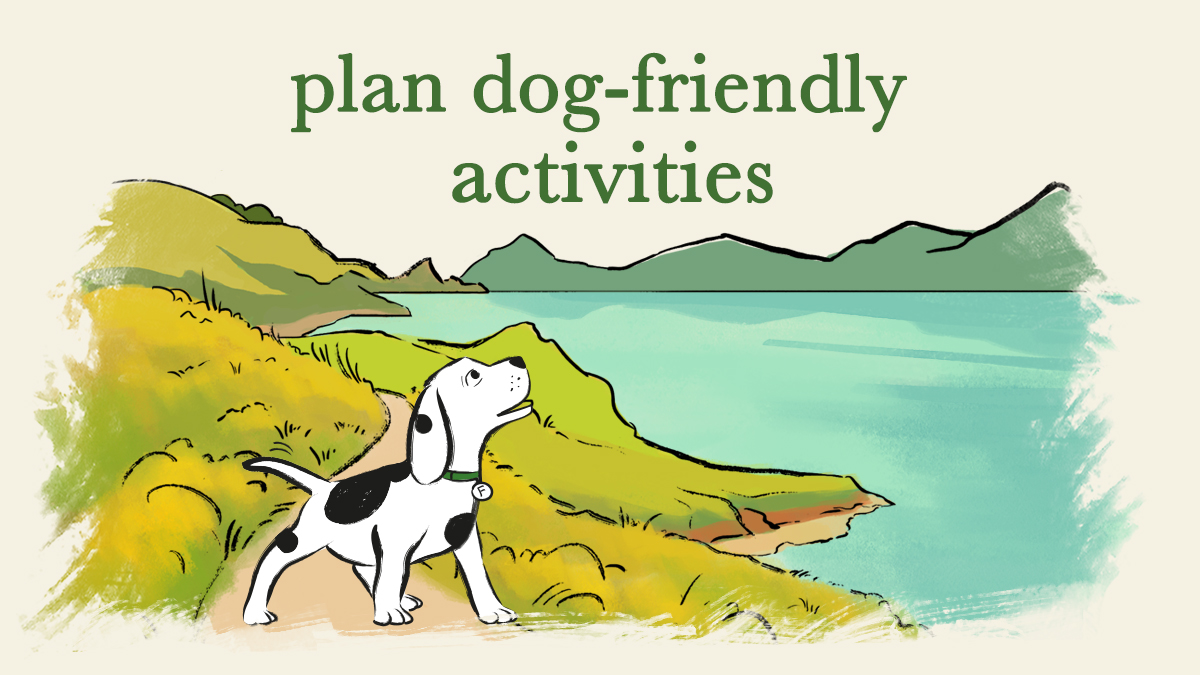 Forthglade's tweet image. Thinking of going camping with your dog? 🐶

From beaches that permit dogs year-round to finding great alternatives like rivers and lakes, or hiking spots nearby if your dog loves long walks, plan dog-friendly activities ahead of the trip ⛰️🐾

#AdventureTails #Forthglade