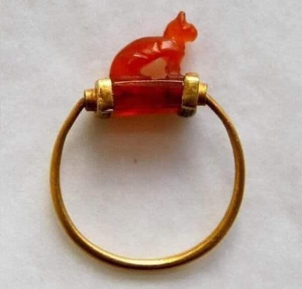 histories_arch's tweet photo. A 2700, year old cat ring from ancient Egypt.

Egyptian Museum, Cairo 

#archaeohistories https://t.co/AQ03qm20bW