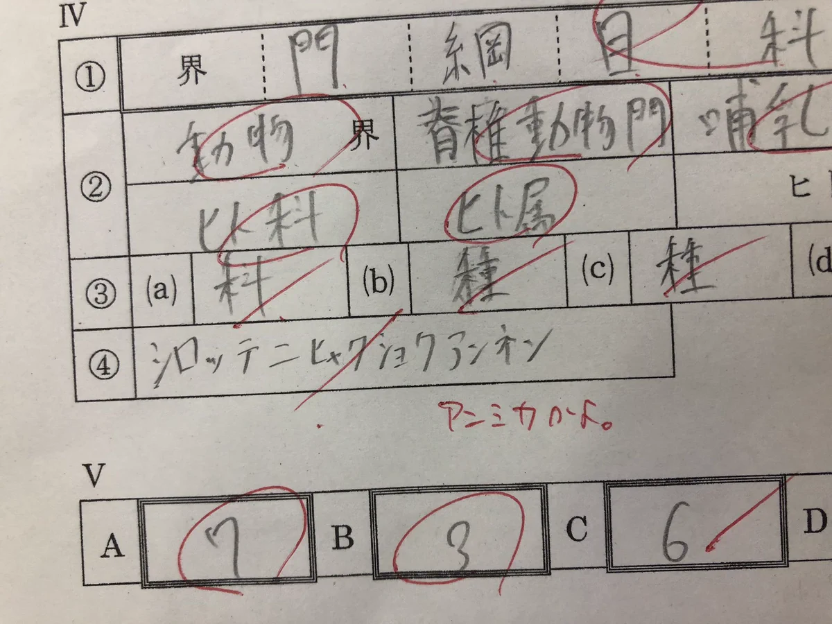 クラスの友達の答案にアンミカ！「シロッテニヒャクショクアンネン」！