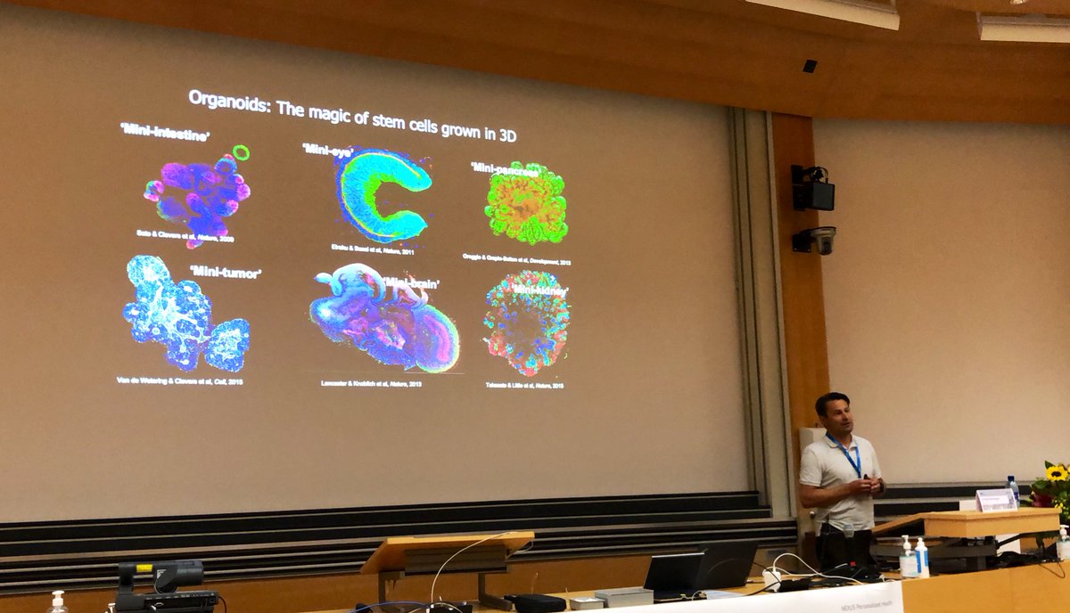 The first keynote is given by <a href="/Roche/">Roche</a> ‘s Matthias Lütolf speaking about #tumoroids in #PrecisionMedicine.
What are you using #organoids for?
#PHT22