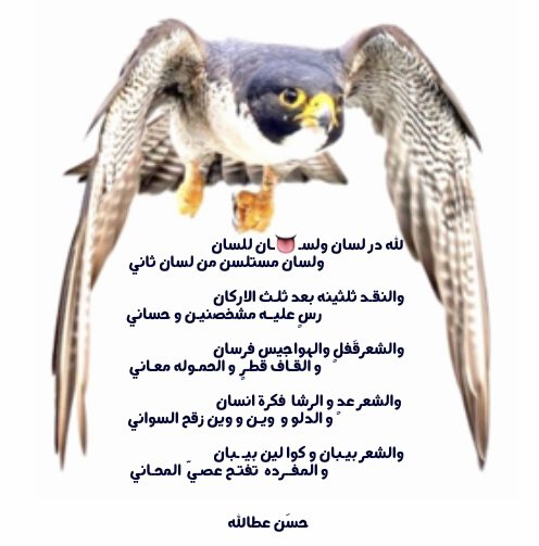 7rwfi's tweet photo. #سلام
•
لله در لسان ولسـ👅ـان للسان
.......ولسان مستلسن من لسان ثاني
•
•
والنقـد ثلثينه بعد ثلـث الاركان
.......رسٍ عليه مشخصنين و حساني
•
#حرٍوفي https://t.co/3cxSdJeaw3
