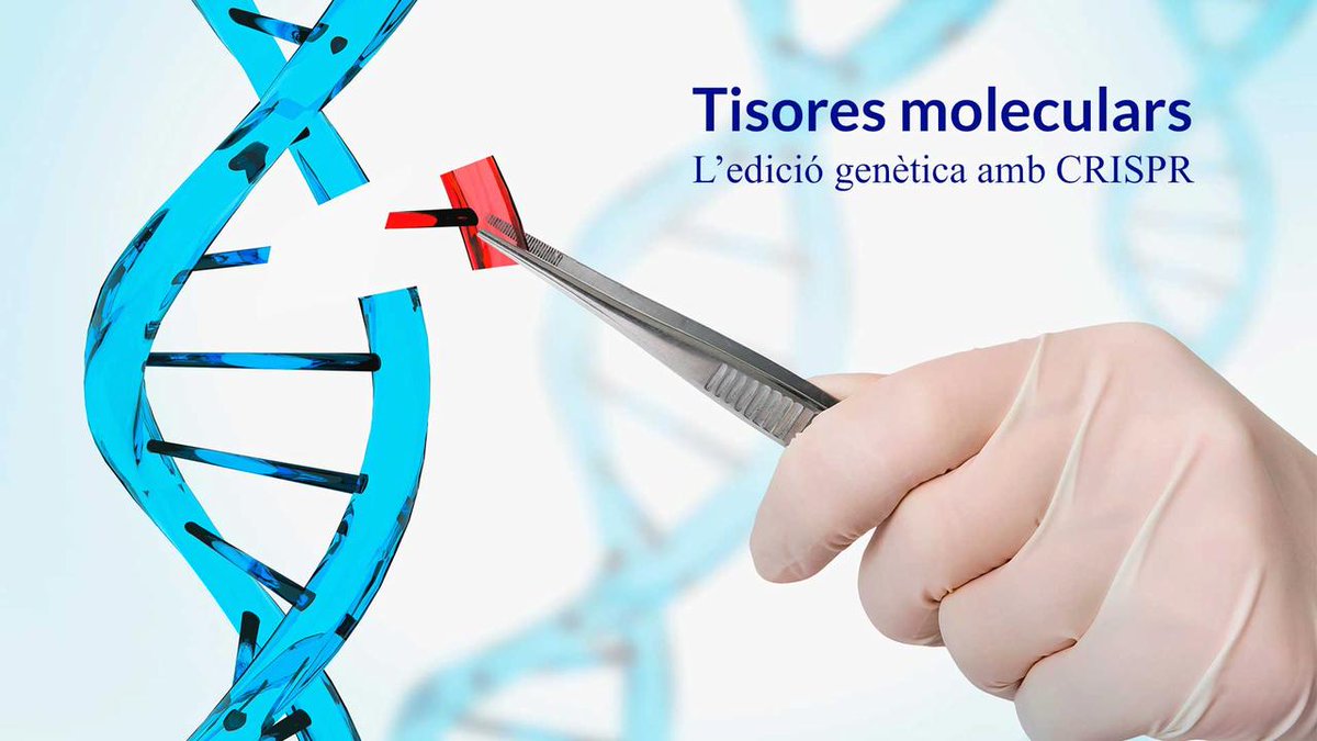 🚨Avui a les 17 h!🚨 <a href="/ESCIupf/">ESCI-UPF</a> sessió online!

🗣️Amb la Dra. <a href="/CarmeCortinaD/">Carme C</a> (<a href="/BatlleLab/">The BATLLE Lab</a> #IRBBarcelona), la Dra. <a href="/TheAnaJanic/">Dr Ana Janic</a> (#IRBalumni, <a href="/UPFbiomed/">UPF Medicine and Life Sciences</a>), Alberto Meseguer i <a href="/acordomi/">Arnau Cordomi</a> (#BDBI).

👇
