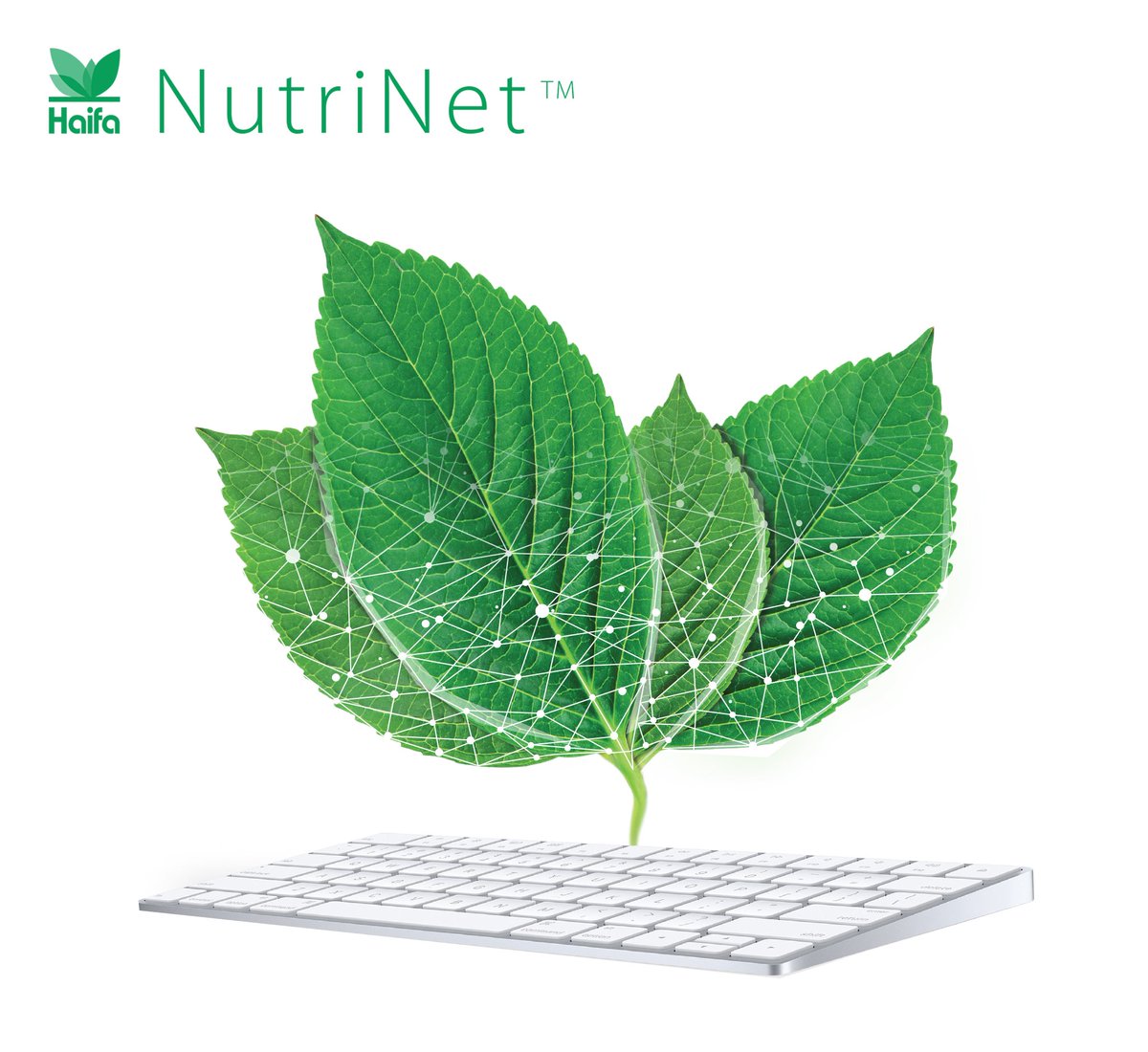 Watch our "Haifa Academy at any time" webinar about:
How to create a basic fertilization program with nutrinet, Haifa's free software -  bit.ly/3zfFjZg
For Q&amp;A on this webinar, please contact: QandA@haifa-group.com